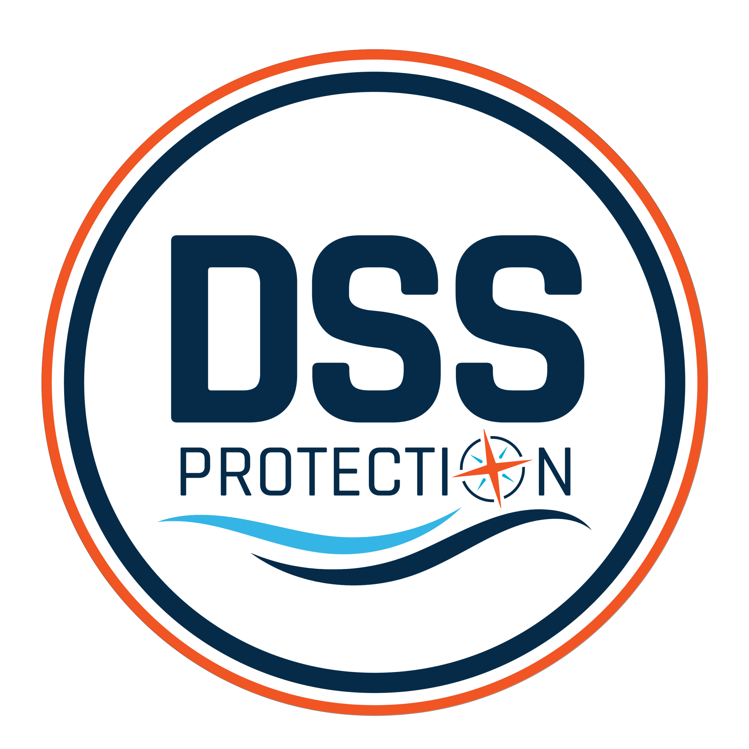 DSS Protection